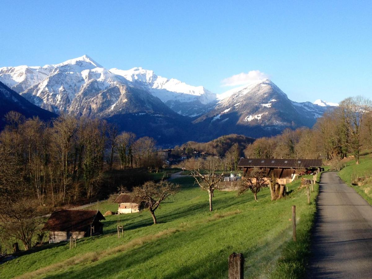 Chalet Rosemarie Ringgenberg Bagian luar foto