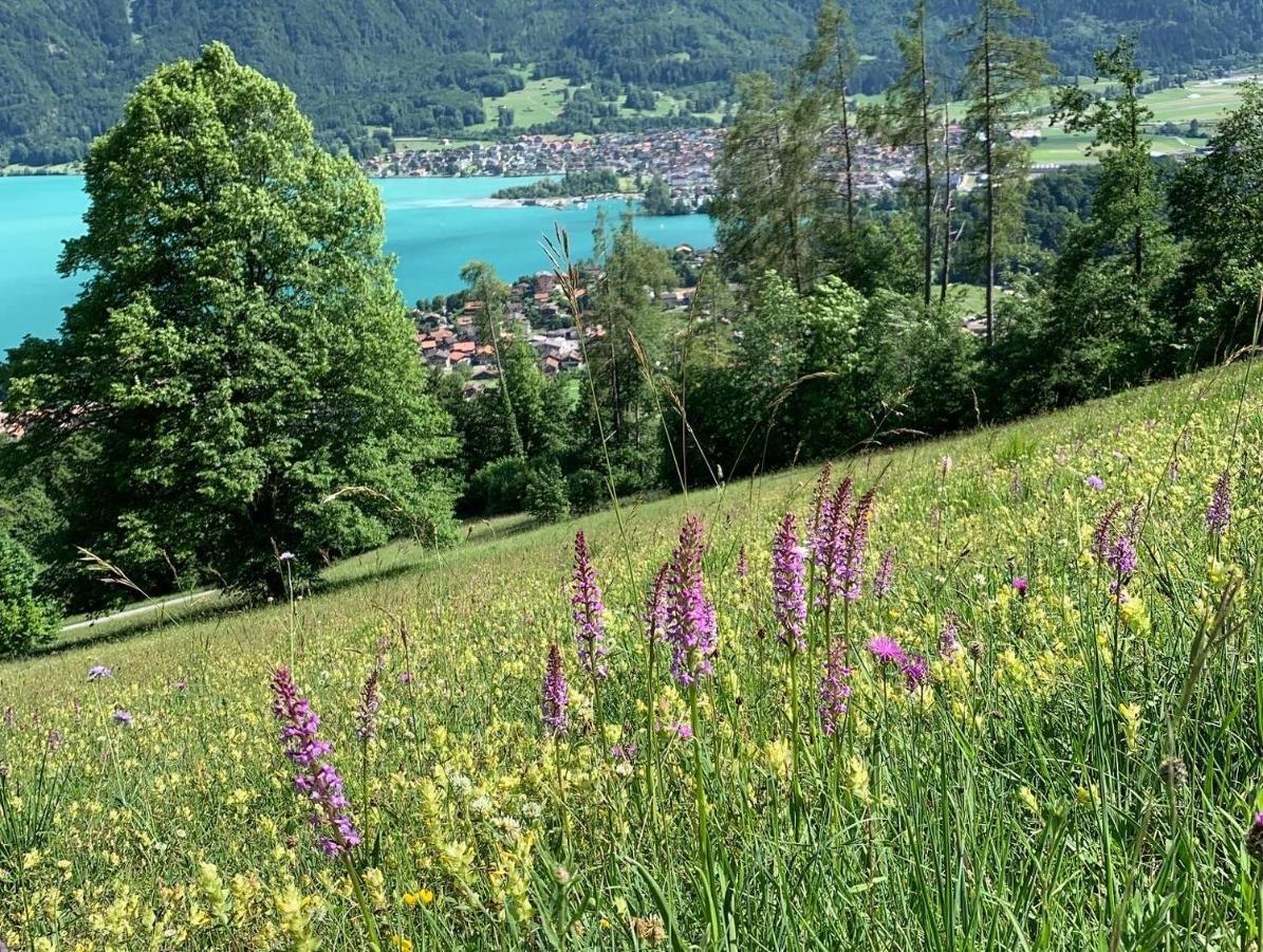 Chalet Rosemarie Ringgenberg Bagian luar foto